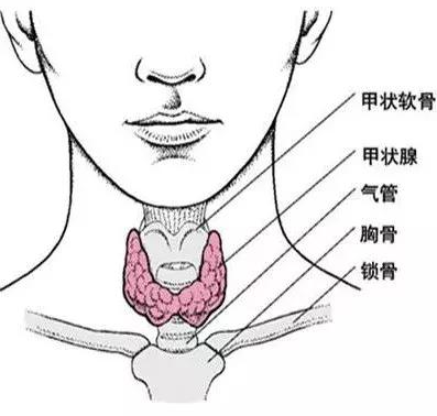 甲状腺结节会引起癌变吗？｜关于甲状腺结节的10个问答